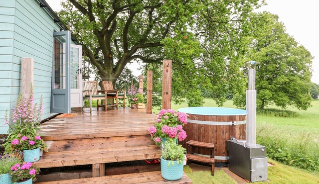 The Lazy Mare by The Water