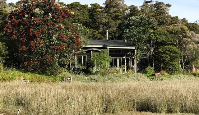 The Library Bach - A special place people love!