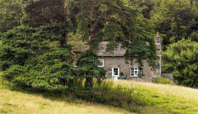 The Library - UK46649