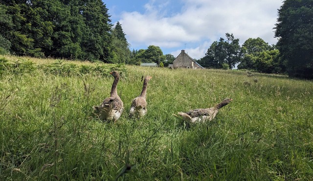 The Lieu Ressource gîte. A peaceful spot in the heart of the Normandy countryside.