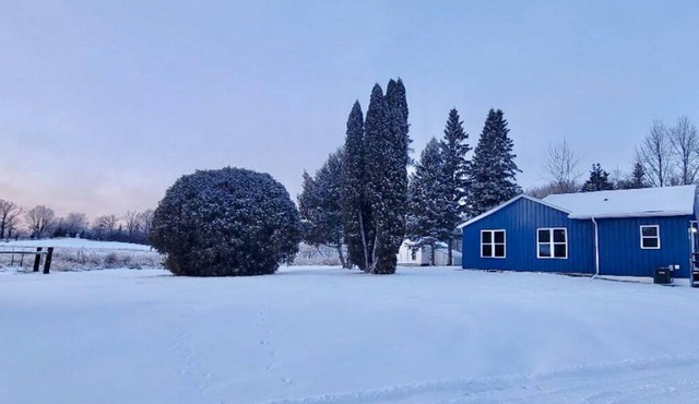 The Lil Blue Wood Cabin in the Woods!