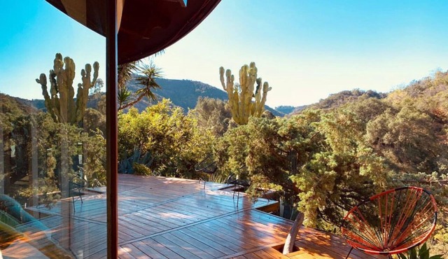 The Lillypad: A Unique Picturesque Treehouse in the Mountains of Beverly Hills