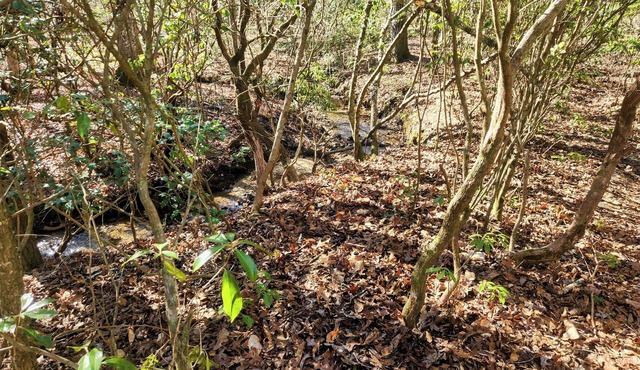 The Lily Pad - 0 Bed/0 Bath, Camping/RV Lot