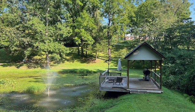 The Lily Pad GEM Hideaway! Perfect honeymoon/Anniversary spot! FLAT driveway