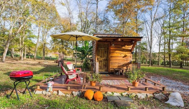 The Limerence Tiny House - The Legend!