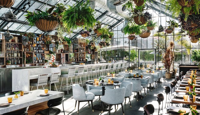 The LINE Hotel