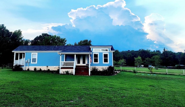 The Little Blue House + Friendly Farm Friends!