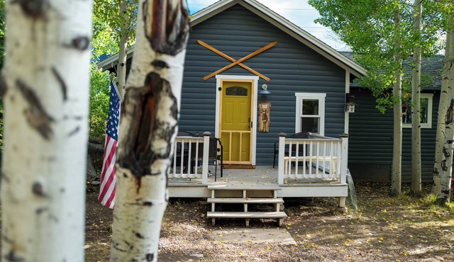 The Little Blue Moose Hideaway - Pet Friendly - Dreamy Cabin - 10 min to RMNP