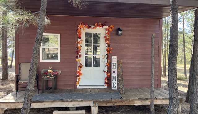 The little cabin in the woods! Nearby great trails and hunting!