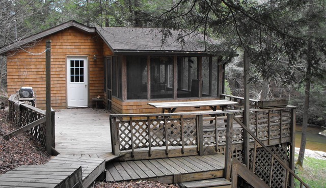 The Little Cedar - overlooking South Black Creek