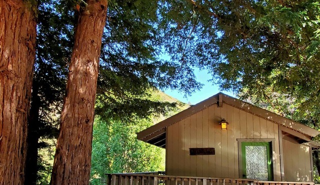 The Little Gem in Big Sur w/Private Hiking & Views