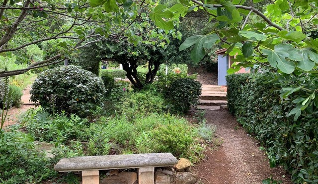 The little House in Gigaro