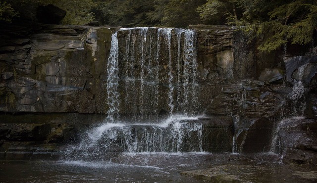 The Little House at Dutch Flats