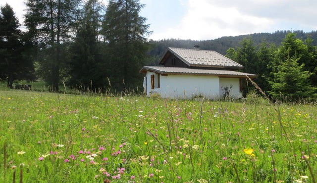 The Little House On The Prairie