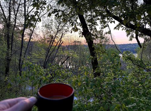 The Little Lake House- Treehouse Sunrise Lake Views, Fire Pit & 400 Yds to Fish and Boat Launch