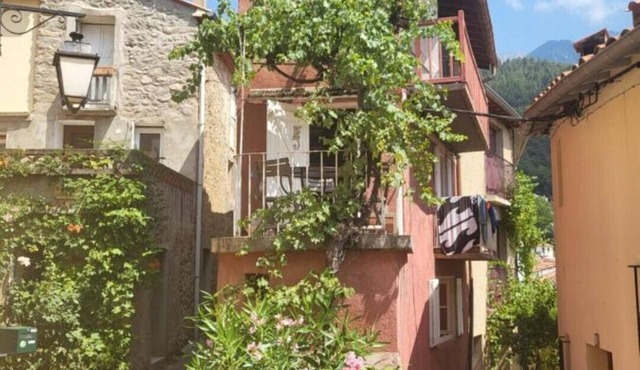 The Little Pink House