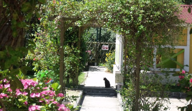 the little robinson, cottage