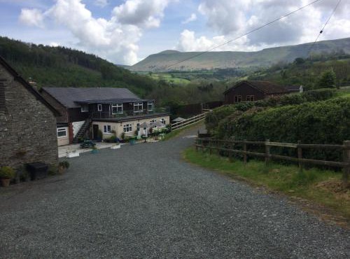 The Living Energy Holidays