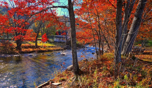The Lodge At Jackson Village
