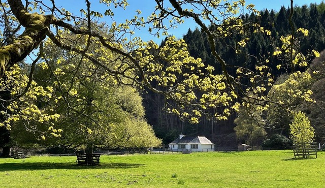 The Lodge at The Yair - Riverside comfort in the Scottish Borders