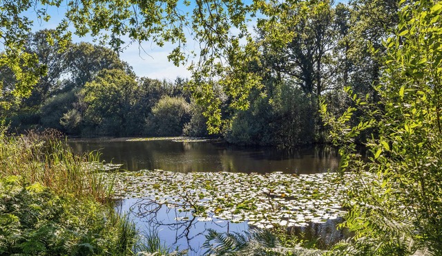 The Lodge at The Lake House