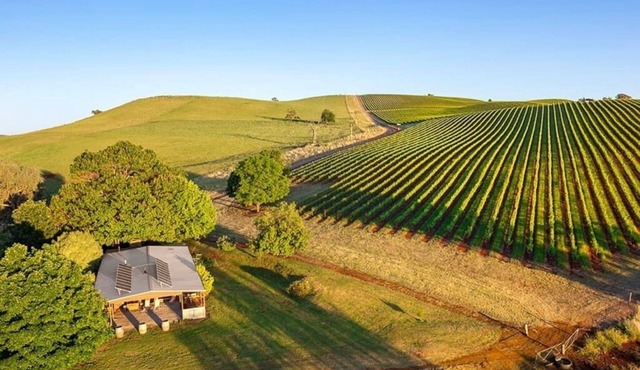The Lodge by Mt Bellevue - Best views in the King Valley