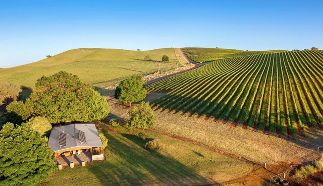 The Lodge by Mt Bellevue