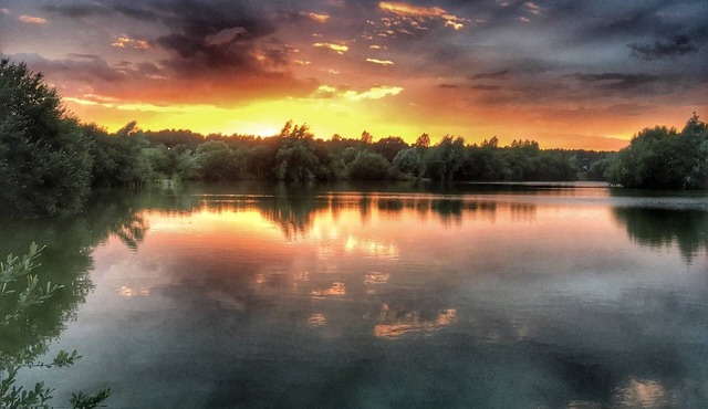 The Lodge Westmoor Farm