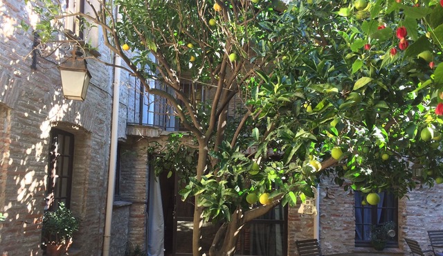 The lodging of the Old House