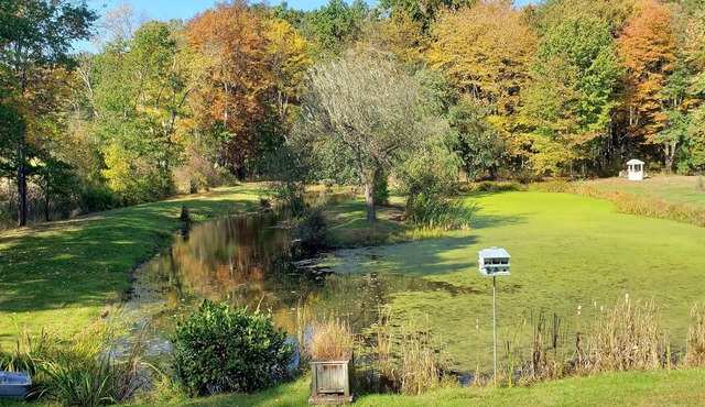 The Loft at 'Blue Heron Watch' Nature Getaway