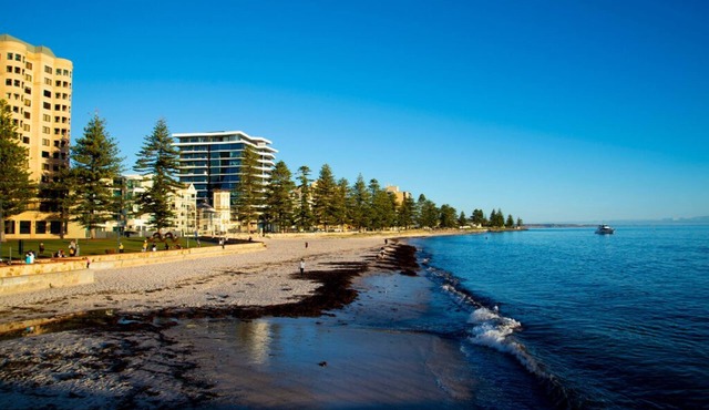 The Loft Glenelg, Cosy-oasis beachsidenEntire home, Private fenced backyard