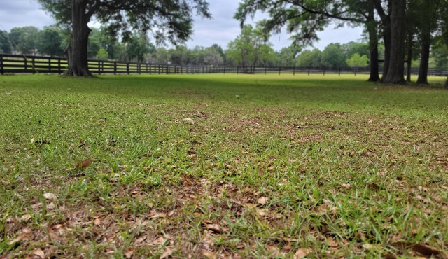 The Lonestar Whitt Ranch