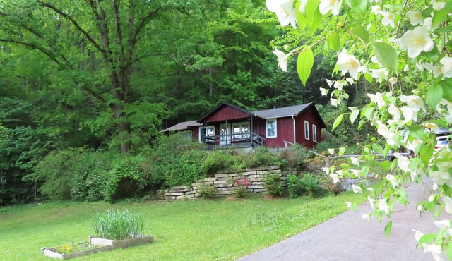 The Longview Cabin: An inviting cabin, next to Pisgah National Forest.