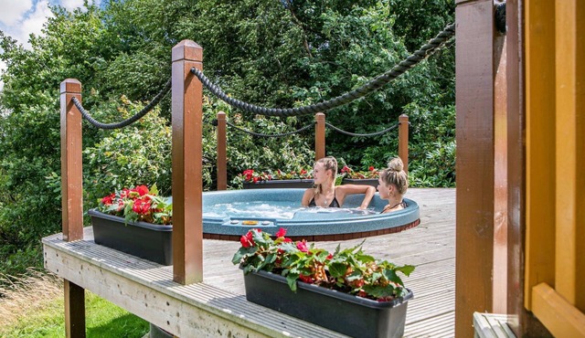 The Lookout - 5 Star - Pet Friendly - Hot Tub - Scandinavian Log Cabin