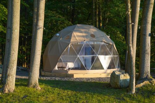 The Lookout at Moon Valley Campground