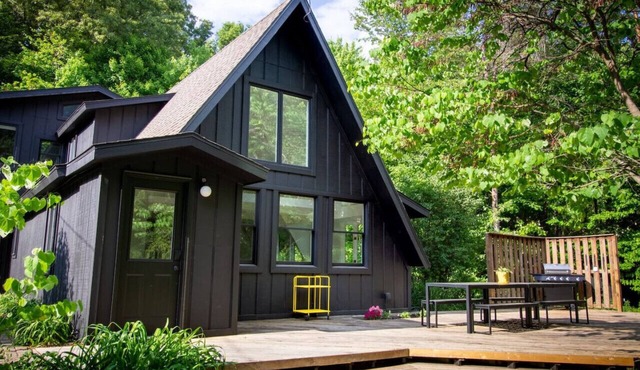 The Love Inn A-Frame Cabin in the woods with pool & firepit that sleeps 19 in Ada, MI