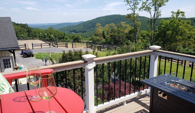 "The Love Nest" - Stunning Views overlooking the Shenandoah in Wine Country