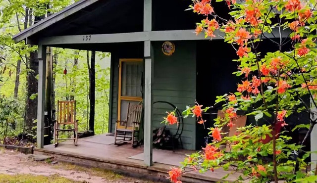 The Love Shack Cabin, NC