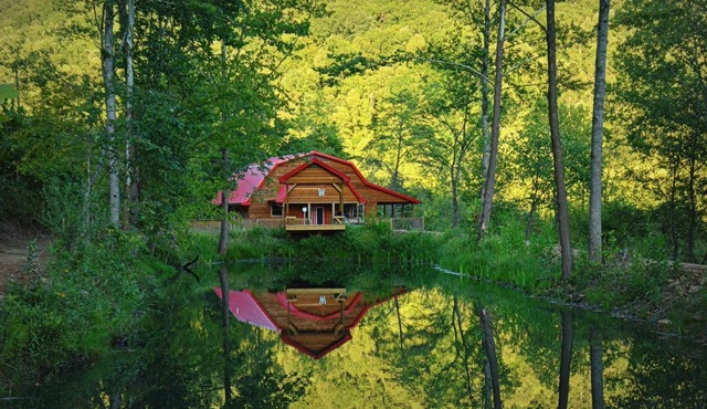 THE LUXURY CABIN IN THE WOODS