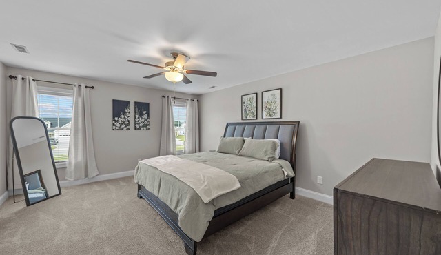 The luxury Pro Nest