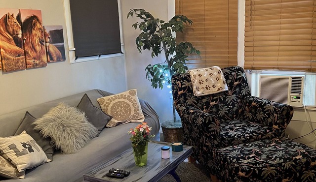 The Lyons Den - Great work place with high speed internet near downtown.