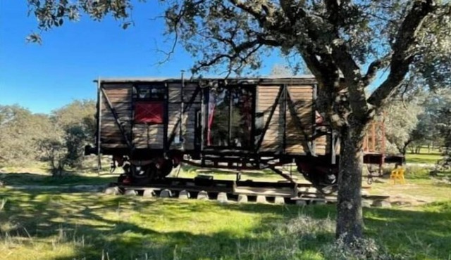 the merry wagon
