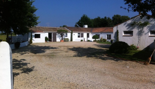 the Magic of the Marshes and the Sea