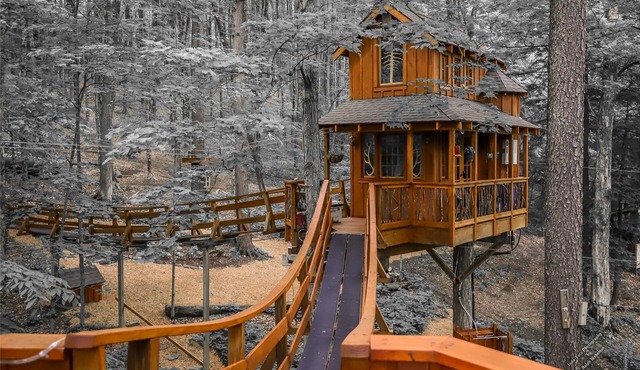 The Magical Chez Tree Rest Treehouse perched 35' above the forest floor!