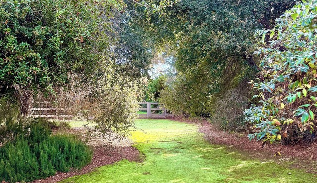 The Magnolia Manor – Your Private Gated Resort Estate with EVERYTHING imaginable
