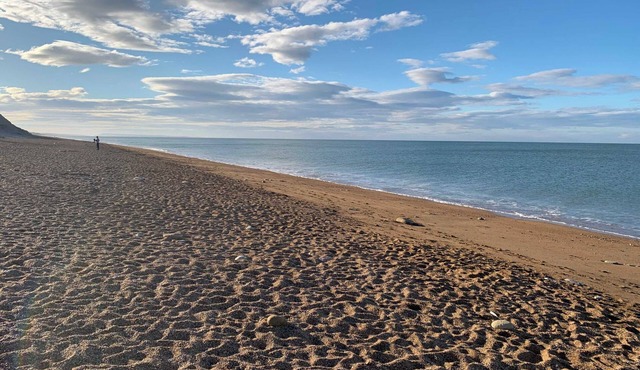 The Magnolias Burton Bradstock
