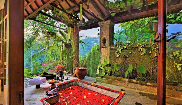 The Mahogany Villa