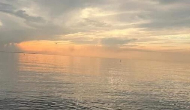 The Maison on Miller Beach