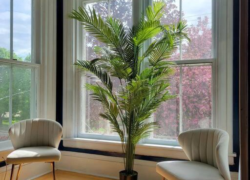 The Maple Shade Suite