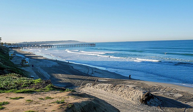 The Marlin at Law Street Beach - Pacific Beach